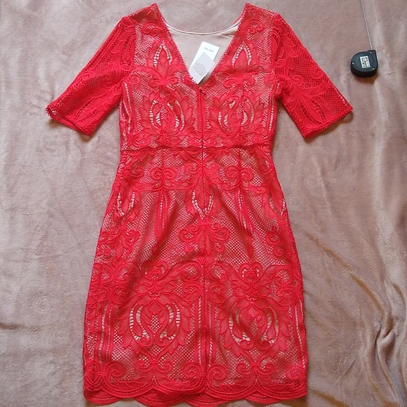 Reiss Zola Lace Overlay Scallop Edge Deep V Back Shift Dress - Picture 8 of 10